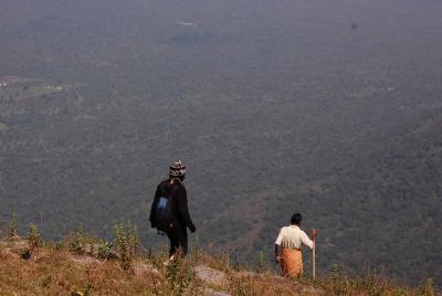Ooty - Day Trip to Bellikkal Estate Ooty - Day Trip to Bellikkal Estate