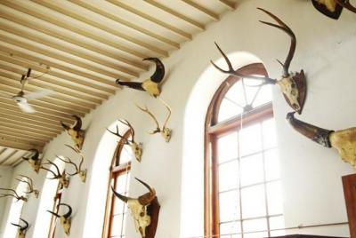 Visit Gass Forest Museum, TNAU Insect Museum and Botanical Garden Visit Gass Forest Museum, TNAU Insect Museum and Botanical Garden