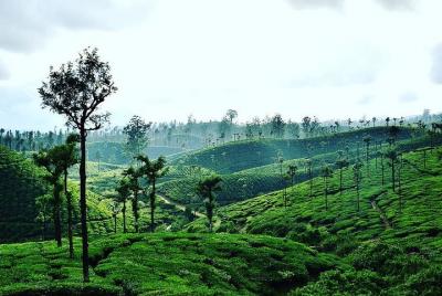 Hill Station Tour from Coimbatore to Valparai 