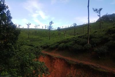 Coimbatore - Valparai tour Coimbatore - Valparai tour