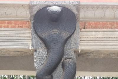 Trip to Visit Adiyogi Shiva and Dhyanalinga Temple from Coimbator Trip to Visit Adiyogi Shiva and Dhyanalinga Temple from Coimbator