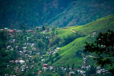 Tourisct Highlights of Darjeeling (Guided Fullday Sightseeing Tou