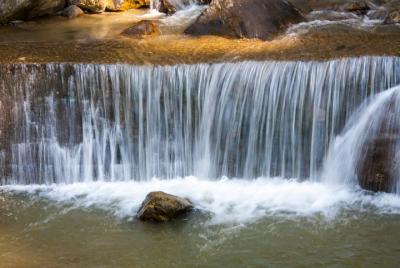 Darjeeling and Gangtok (05 nights / 06 Days)