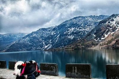 Gangtok Day Tours 