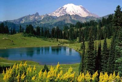 Same Day Kalimpong Full Day Excursion From Darjeeling including Dara Hills