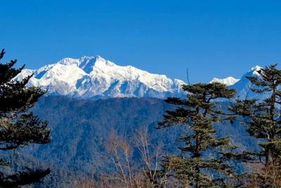 Darjeeling Tonglu - Tumling Day Trek 