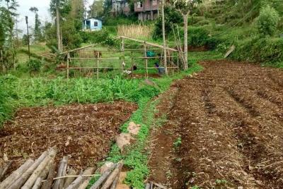 Hike to a local farm