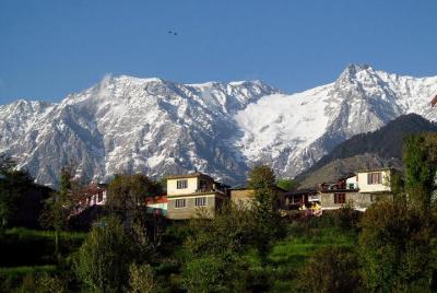 Nature and Cultural Walking Tour at Mcleod Ganj Nature and Cultural Walking Tour at Mcleod Ganj