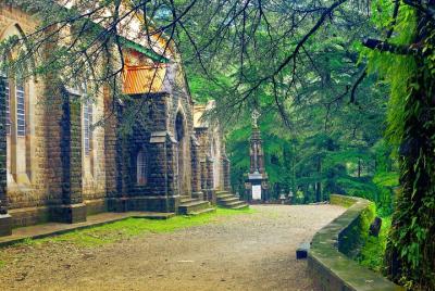 3-Hour Mcleodganj Nature Trek 3-Hour Mcleodganj Nature Trek