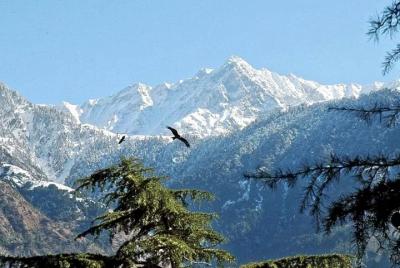Triund trek with camping - BanBanjara Triund trek with camping - BanBanjara