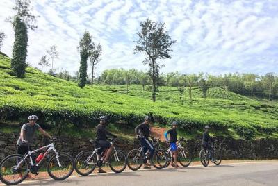 Half-Day Private Kangra Valley Cycling Tour from Dharamshala Half-Day Private Kangra Valley Cycling Tour from Dharamshala