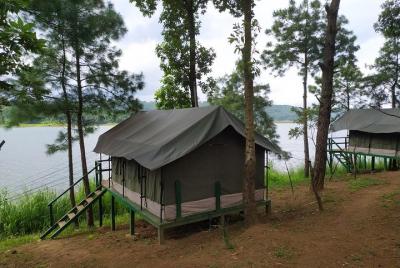 Majestic Umiam Lake Experience