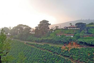 Day Trip to Kaziranga National Park (Guided Private Tour from Guw