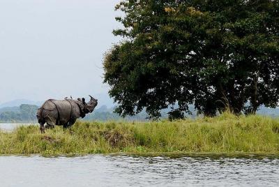 4D/3N Kaziranga safari special