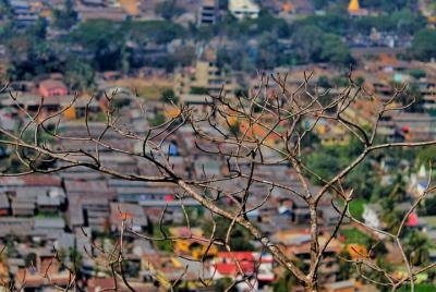 Heritage & Cultural Walk of Guwahati (2 Hours Guided Walking Tour)