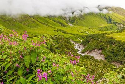 Valley of Flowers and Hemkund Trek- Banbanjara Valley of Flowers and Hemkund Trek- Banbanjara