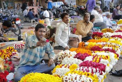 Haridwar Temples, Ashrams, and Ganga Aarti Experience  Haridwar Temples, Ashrams, and Ganga Aarti Experience