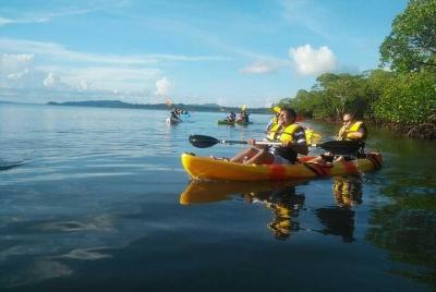 Day Mangroves Kayaking at Havelock Island (Swaraj Dweep), India Day Mangroves Kayaking at Havelock Island (Swaraj Dweep), India