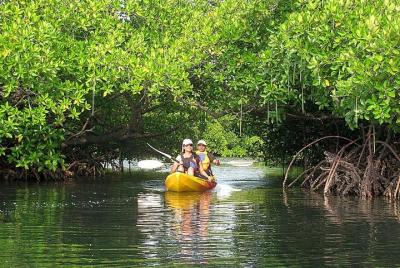Kayaking Mangrove Adventure at Havelock Kayaking Mangrove Adventure at Havelock