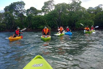 Bioluminescence Night Kayaking at Havelock Island Bioluminescence Night Kayaking at Havelock Island