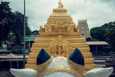 Hyderabad to Mallikarjuna Temple Day Trip
