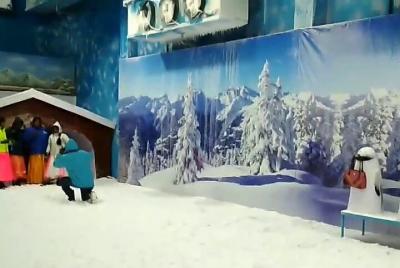 Day-Tour Highlights Hyderabad: Snow world and Birla Science Museum, lunch includ Day-Tour Highlights Hyderabad: Snow world and Birla Science Museum, lunch includ