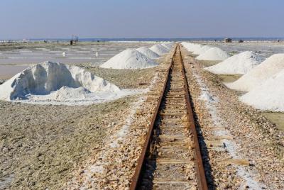 Sambhar Day Trip from Jaipur - Explore Sambhar Salt Lake