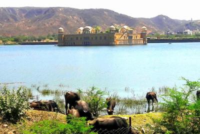 Memorable Jaipur Tour by Car Memorable Jaipur Tour by Car