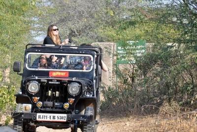 Gyptain Safari Tour in Jaipur Gyptain Safari Tour in Jaipur