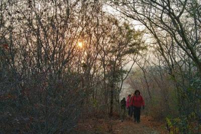 Trek the forests of Jaipur! An unforgettable hike ! Real Jungle e