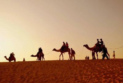 Ajmer Pushkar Same Day Tour with Camel Safari