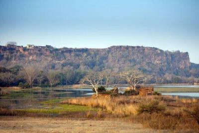 Ranthambore Tiger Safari Private Day Tour From Jaipur