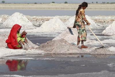 Sambhar Lake Salt Farms Sacred temple from Jaipur Sambhar Lake Salt Farms Sacred temple from Jaipur