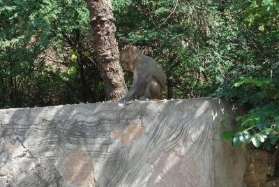 Heritage City walk  Heritage City walk