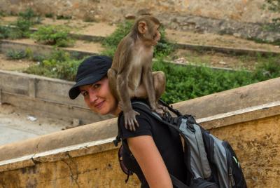 Jaipur Temples and Spiritual Sites Private Tour Jaipur Temples and Spiritual Sites Private Tour