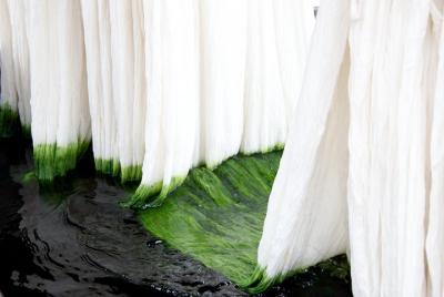 Learn The Art Of Textile Dyeing In Sanganer, Near Jaipur Learn The Art Of Textile Dyeing In Sanganer, Near Jaipur