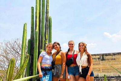 Magic Route Magic Route