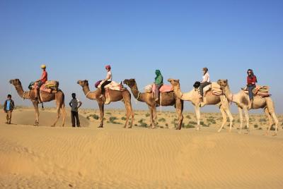 2 Days and 1 Night Camel Safari 2 Days and 1 Night Camel Safari