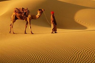 Jaisalmer Sand Dunes (Pickup from Jaisalmer Hotel) Jaisalmer Sand Dunes (Pickup from Jaisalmer Hotel)