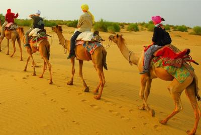 Half Day Overnight Desert Tour (Non Touristic) Half Day Overnight Desert Tour (Non Touristic)