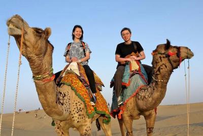 camel safari camel safari