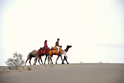 Jasmin Desert Safari & Camp Jasmin Desert Safari & Camp