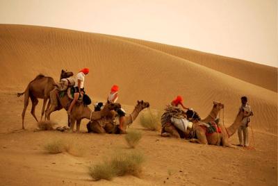 Overnight Camel Safari at Non-Touristic Route Overnight Camel Safari at Non-Touristic Route