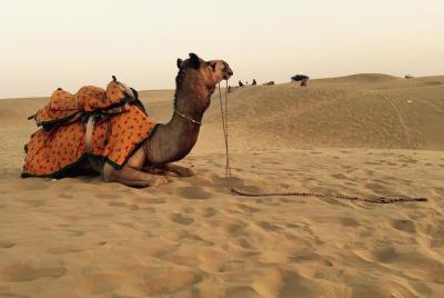 Best of Golden City "JAISALAMER" tour Best of Golden City