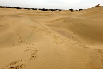 Jaisalmer One Day Sightseeing Tour Jaisalmer One Day Sightseeing Tour