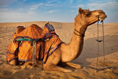 Private Transfers Jaisalmer To Bikaner Drop Private Transfers Jaisalmer To Bikaner Drop