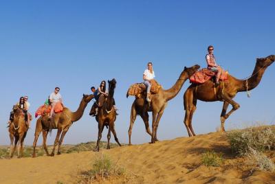 Camel Safari Half Day Tour In Jodhpur Camel Safari Half Day Tour In Jodhpur