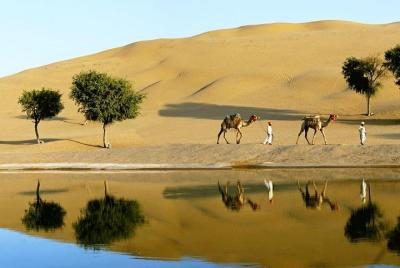 Khimsar Historic Fort & stay in Dunes