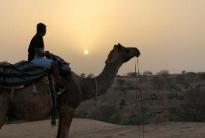Jodhpur, Jaisalmer And Udaipur Private 6 Day Tour From Jodhpur