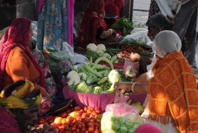 Blue City with Old Bazar Tour